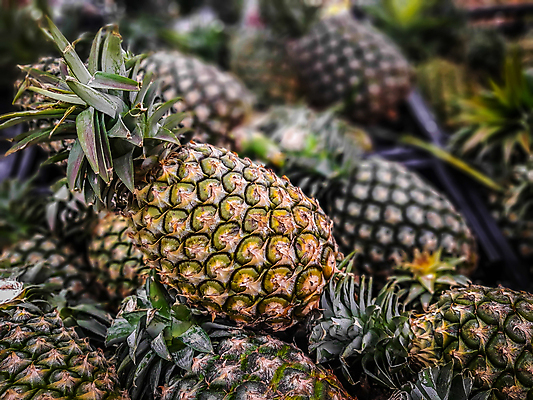 포토 JPG 해외이미지 식물 음식 백그라운드 패턴 과일 자연 사람없음 초록색 노란색 흰색 신선 달콤 파인애플 질감 내추럴 이국적 해외202004 해외포토 컬러 무늬 맛 열대과일 생태계 파일형식 이미지허브