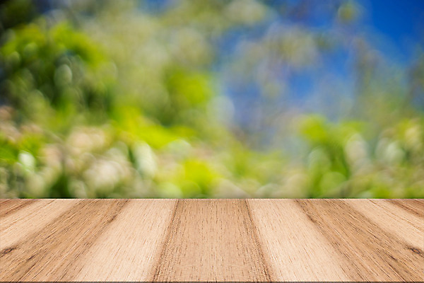 포토 JPG 해외이미지 공원 컨셉 자연 탁자 사람없음 야외 목재 장식 초록색 여름 빛 컬러풀 태양 우주 정원 맑음 봄 전시 시골 신선 소프트포커스 숲 4월 에코 생태계 복고 보케 매듭 내추럴 그런지 무료 바이오 수목 옛날 해외202004 해외포토 자연요소 나무 계절 공공시설 컬러 가구 재료 날씨 촬영기법 환경 날짜 파일형식 이미지허브