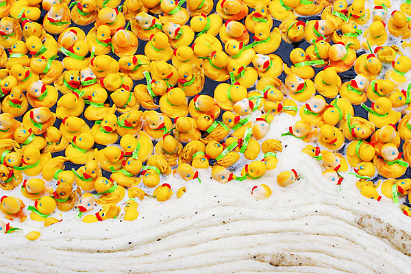 포토 JPG 해외이미지 조류 오리 사람없음 물 노란색 거품 모임 그룹 군중 고무 많음 해외202004 해외포토 자연요소 동물 컬러 컨셉 사람 파일형식 이미지허브