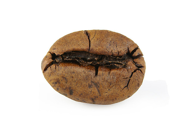 포토 JPG 해외이미지 스튜디오촬영 커피 음료 클리핑패스 음식 백그라운드 잎 농업 재료 아침 콩 씨앗 사람없음 컵 빛 농작물 갈색 검은색 어둠 카페 에너지 흰색 하트 신선 뜨거움 아침식사 낟알 자르기 굽기 아로마 결 향 카푸치노 에스프레소 흙더미 내추럴 고립 모카 아라비카 아랍어 카페인 해외202004 해외포토 주간 모양 식물 식기 산업 컬러 무늬 모션 곡류 실내 상점 식사 흙 구이 파일형식 더미 이미지허브