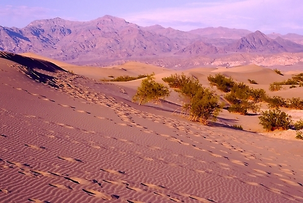 포토 JPG 해외이미지 공원 바다 여행 산 사람없음 여행객 계곡 미국 사막 죽음 큼 아래 캘리포니아 온도 대야 전국 해외202004 해외포토 공공시설 북아메리카 사람 크기 방향 위치 파일형식 이미지허브