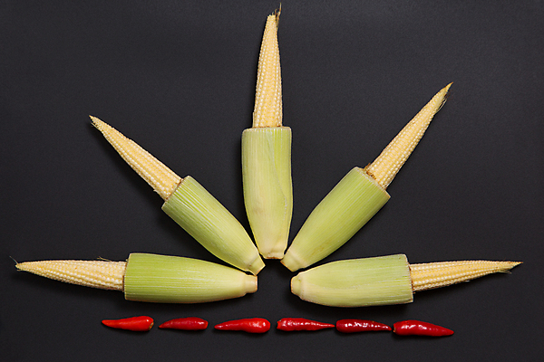 포토 JPG 해외이미지 스튜디오촬영 식물 음식 백그라운드 농업 다이어트 채소 재료 자연 고추 파프리카 건강 옥수수 요리 사람없음 빨간색 초록색 농작물 농장 노란색 검은색 회색 추위 아기 신선 뜨거움 양념 조미료 황금 달콤 맛 작음 시리얼 먹기 향신료 오브젝트 유기농 매움 날것 향기 귀 향료 후추 흙더미 내추럴 정물화 줄서기 채식주의자 해외202004 해외포토 웰빙 산업 컬러 컨셉 모션 곡류 실내 사람 신체부위 흙 크기 그림 생태계 채식 냄새 향미료 파일형식 더미 이미지허브