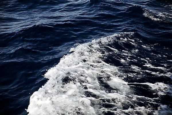 포토 JPG 해외이미지 물결 파도 바다 백그라운드 패턴 모션 자연 표면 추상 사람없음 야외 물 파란색 반사 환경 힘 침묵 활발 거품 젖음 흐름 추위 흰색 액체 서핑 큼 순수 속도 질감 심플 분무기 내추럴 깊이 넘어짐 잔물결 스플래쉬 부족함 해외202004 해외포토 자연요소 컬러 컨셉 무늬 소리 수상스포츠 크기 생태계 파일형식 이미지허브