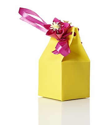 포토 JPG 해외이미지 스튜디오촬영 기념일 꽃 리본 종이 클리핑패스 분홍색 크리스마스 휴가 선물 사람없음 장식 선물상자 빛 쇼핑 상자 컬러풀 한개 반사 노란색 놀람 축하 작음 자르기 포장지 큐브 흰배경 주기 심플 기념품 패키지 소매 해외202004 해외포토 식물 1 감정 컬러 백그라운드 컨셉 포장 모션 실내 표정 이벤트 흰색 크기 오브젝트 파일형식 이미지허브