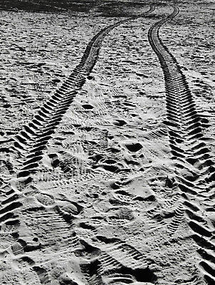 포토 JPG 해외이미지 모래 무늬 자연 건조 풍경 사람없음 여름 모래사장 태양 맑음 사막 달 죽음 바퀴 뜨거움 황무지 인쇄 발자국 낟알 갈증 모래언덕 방향 사파리 흔적 타이어 장면 지역 사하라 비포장도로 선로 원정 수평선 해외202004 해외포토 자연요소 계절 도로 바다 자국 아프리카 날씨 언덕 생태계 파일형식 이미지허브