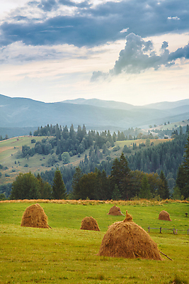 포토 JPG 해외이미지 나무 구름 계절 유럽 여행 백그라운드 밭 자연 하늘 휴가 산 풍경 사람없음 야외 초록색 여름 파란색 컬러풀 마을 봄 시골 숲 언덕 폴란드 옛날 해외202004 해외포토 자연요소 식물 나라 컬러 농업 생태계 파일형식 이미지허브