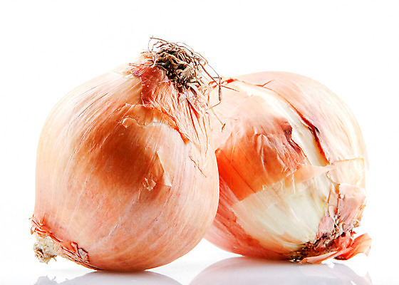 포토 JPG 해외이미지 식물 라이프스타일 잡화 문화 음식 백그라운드 채소 재료 전구 양파 건강 요리 사람없음 갈색 노란색 봄 수확 흰색 신선 양념 그룹 황금 허브 향신료 오브젝트 유기농 뿌리 향료 내추럴 고립 숙성 채식주의자 샬롯 해외202004 해외포토 웰빙 계절 컬러 농업 생활 채식 향기 냄새 향미료 파일형식 이미지허브