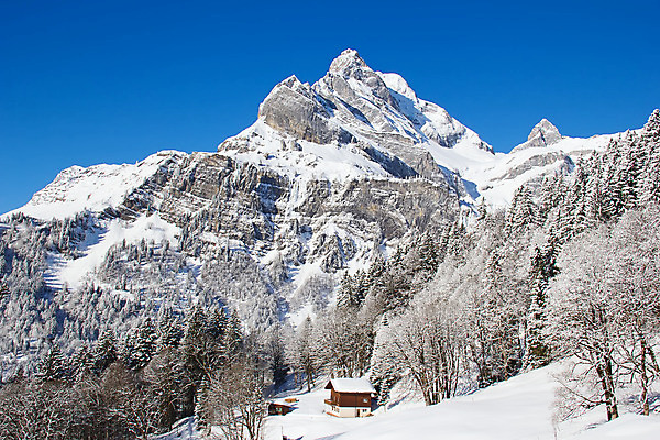 포토 JPG 해외이미지 나무 구름 라이프스타일 실루엣 유럽 지구 스포츠 여행 백그라운드 크리스마스 겨울 자연 벽지 하늘 휴가 스키 산 주택 요정 풍경 사람없음 야외 건물 목재 파란색 태양 평화 얼음 추위 흰색 신선 고급 숲 에코 서리 알프스 엽서 마법 생태학 해외202004 해외포토 자연요소 식물 건축물 계절 교육 기념일 나라 컬러 컨셉 재료 겨울스포츠 촬영기법 생활 환경 편지 생태계 파일형식 이미지허브