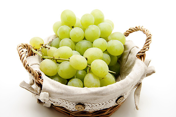 포토 JPG 해외이미지 음식 과일 포도 건강 사람없음 초록색 바구니 수확 나뭇가지 신선 맛 발사 먹기 흰배경 해외202004 해외포토 나무 컬러 백그라운드 컨셉 농업 모션 흰색 파일형식 이미지허브