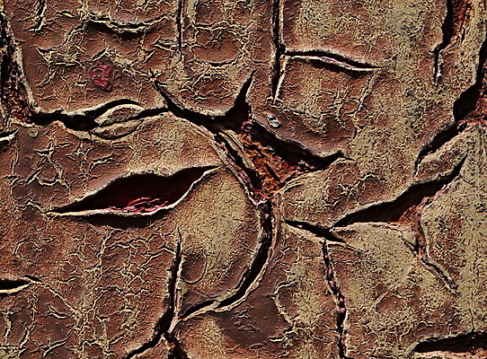 포토 JPG 해외이미지 디자인 백그라운드 패턴 건축양식 표면 날씨 추상 사람없음 빨간색 파란색 갈색 금속 페인트 껍질 거친 균열 묘사 부식 질감 복고 구식 그런지 깨짐 석고 옛날 철강 콘크리트 해외202004 해외포토 건축 컬러 컨셉 무늬 모션 재질 파일형식 이미지허브