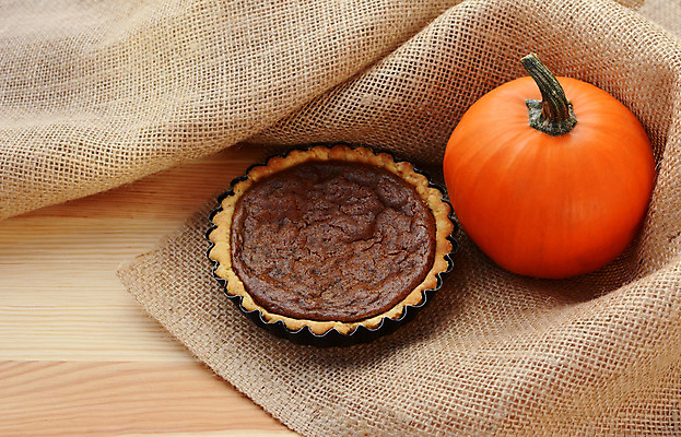 포토 JPG 해외이미지 탁자 호박 디저트 사람없음 목재 가을 소나무 삼베 오브젝트 추수감사절 푸딩 정물화 카피스페이스 해외202004 해외포토 나무 계절 기독교 음식 가구 채소 재료 공백 그림 파일형식 천_직물 이미지허브