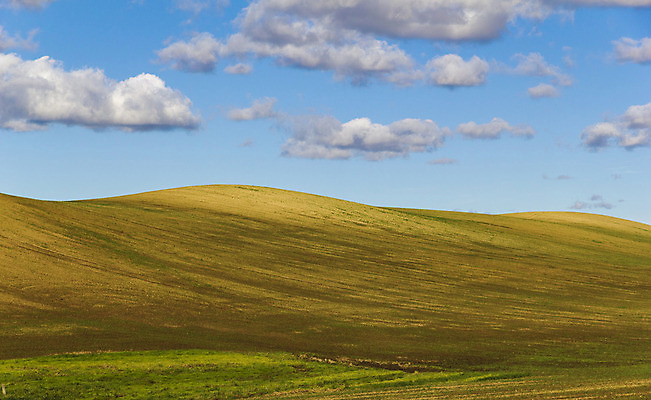 포토 JPG 해외이미지 식물 구름 계절 유럽 지구 밭 농업 자연 하늘 독일 풍경 사람없음 야외 초록색 파란색 농장 농경지 갈색 흙 봄 시골 신선 뿌리기 언덕 유기농 질감 먼지 진흙 내추럴 땅바닥 밭일 쟁기 토스카나 세련 해외202004 해외포토 자연요소 웰빙 나라 산업 컬러 모션 바닥 이탈리아 생태계 파일형식 이미지허브
