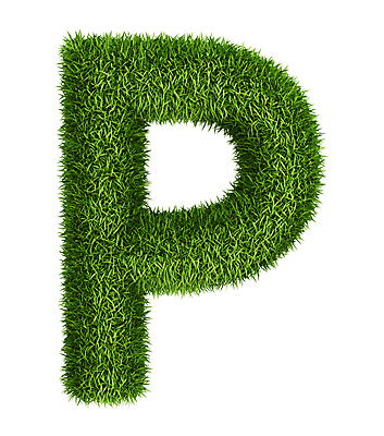 포토 JPG 해외이미지 모양 식물 캐릭터 디자인 알파벳 지구 컨셉 일러스트 텍스트 자연 대문자 건강 잔디 사람없음 초록색 3D 환경 정원 봄 활발 행성 성장 흰색 신선 메시지 심볼 사인 에코 유기농 질감 타입 내추럴 고립 땅바닥 생태학 그리너리 해외202004 해외포토 웰빙 영어 계절 교육 컬러 바닥 우주 디지털합성 생태계 파일형식 트랜드컬러 이미지허브