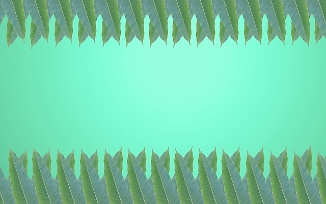 포토 JPG 해외이미지 식물 디자인 꽃 벽 줄기 백그라운드 잎 자연 프레임 미술 경사 사람없음 장식 초록색 정원 봄 성장 흰색 나뭇가지 신선 덩굴 묘사 오브젝트 원예 포도나무 아이비 내추럴 옛날 그리너리 해외202004 해외포토 나무 계절 컬러 문화예술 취미 과일나무 생태계 파일형식 트랜드컬러 이미지허브