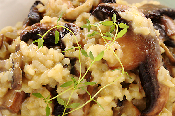 포토 JPG 해외이미지 음식 밥 건강 요리 사람없음 식사 저녁식사 버섯 이탈리아 신선 맛 허브 성분 내추럴 점심식사 리조또 백리향 영양분 채식주의자 해외202004 해외포토 식물 유럽 컨셉 채식 파일형식 이미지허브