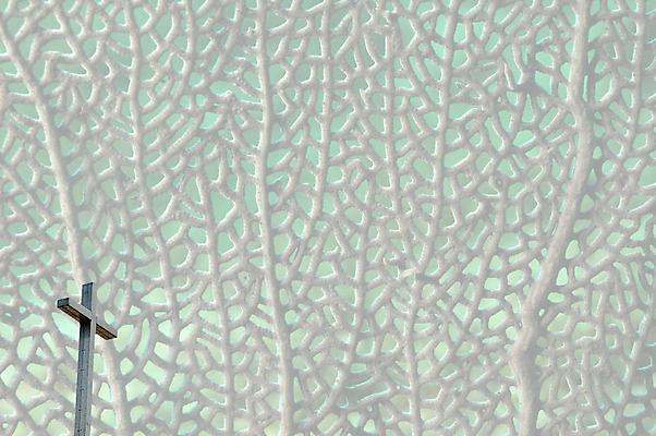 포토 JPG 해외이미지 아이콘 기독교 종교 바다 백그라운드 십자가 자연 부활절 사람없음 교회 성경 천주교 예수 영혼 심볼 질감 신성 내추럴 복음 신앙심 해외202004 해외포토 기념일 종교용품 종교건축 건물 신_종교 생태계 파일형식 이미지허브