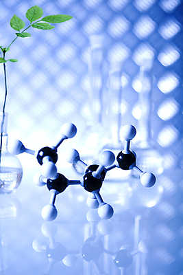 포토 JPG 해외이미지 식물 실내 실험 사람없음 액체 화학 실험실 플라스크 파란배경 비커 화학실험 분자구조모형 해외202004 해외포토 과학 백그라운드 실험기구 내부 파란색 모형 분자구조 파일형식 이미지허브