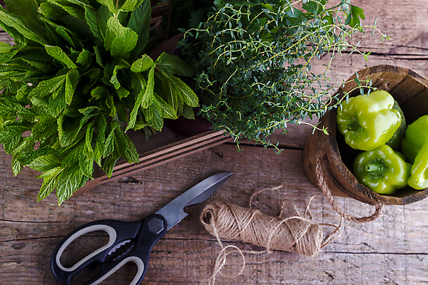 포토 JPG 해외이미지 식물 계절 음식 백그라운드 잎 채소 재료 자연 건강 관리 요리 사람없음 목재 초록색 약 정원 흰색 신선 양념 맛 자르기 다발 수집 지중해 민트 허브 향신료 유기농 원예 날것 아로마 향 아로마테라피 내추럴 백리향 채식주의자 해외202004 해외포토 나무 웰빙 바다 컬러 컨셉 의학 모션 취미 생태계 채식 테라피 향미료 파일형식 이미지허브
