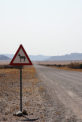 포토 JPG 해외이미지 나무 도로 모래 아프리카 하늘 산 거리 건조 경고 풍경 사람없음 빨간색 초록색 모래사장 갈색 노란색 사막 흰색 황무지 사인 도로표지판 먼지 얼룩말 경고문 나미비아 방법 주목 해외202004 해외포토 식물 나라 길 바다 컬러 교통시설 말_동물 표지판 남아프리카 파일형식 이미지허브