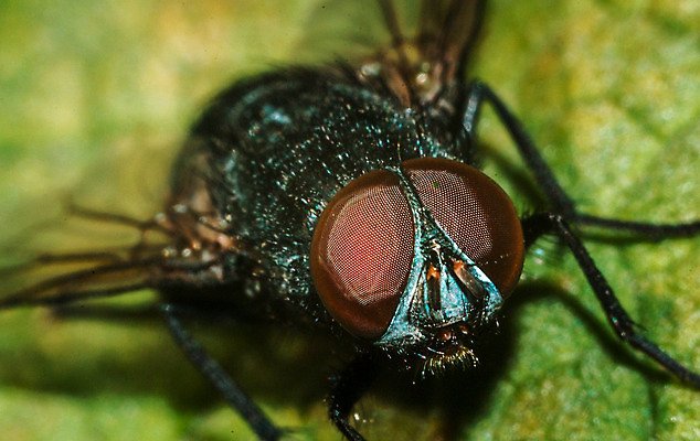 포토 JPG 해외이미지 사람없음 해외202004 해외포토 파일형식 이미지허브