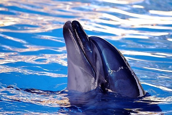 포토 JPG 해외이미지 사람없음 쇼 해외202004 해외포토 파일형식 이미지허브