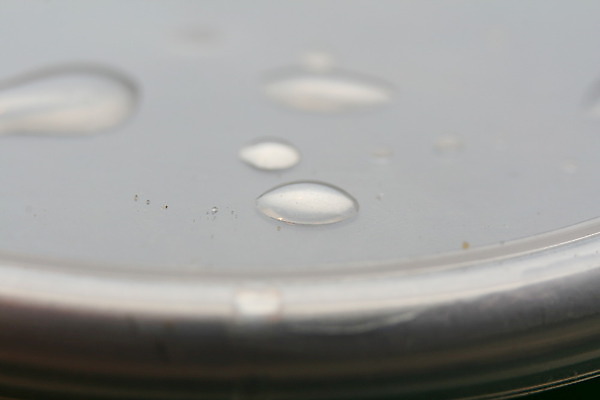 포토 JPG 해외이미지 표면 사람없음 물 물방울 플랫 닫기 떨어짐 이슬 수분 해외202004 해외포토 자연요소 컨셉 모션 파일형식 이미지허브