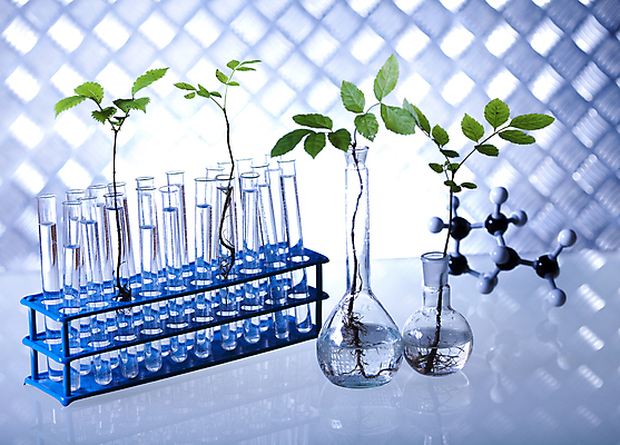 포토 JPG 해외이미지 식물 실내 실험 사람없음 액체 화학 실험실 플라스크 파란배경 비커 화학실험 분자구조모형 해외202004 해외포토 과학 백그라운드 실험기구 내부 파란색 모형 분자구조 파일형식 이미지허브