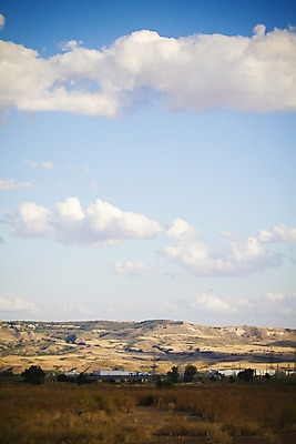 포토 JPG 해외이미지 나무 식물 구름 백그라운드 잎 밭 농업 자연 하늘 날씨 손바닥 풍경 잔디 사람없음 야외 목재 초록색 여름 파란색 컬러풀 햇빛 태양 농장 맑음 봄 활발 흰색 시골 땅 언덕 장면 코코넛 내추럴 파라다이스 평야 수평선 해외202004 해외포토 자연요소 손 계절 산업 컬러 컨셉 과일 재료 생태계 파일형식 이미지허브