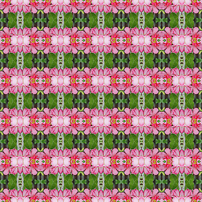 포토 JPG 해외이미지 나무 식물 공원 꽃잎 꽃 분홍색 백그라운드 꽃무늬 패턴 태국 자연 벽지 추상 사람없음 초록색 컬러풀 벚꽃 신선 개화 진달래 즐거움 내추럴 해외202004 해외포토 공공시설 감정 아시아 컬러 무늬 생태계 파일형식 이미지허브