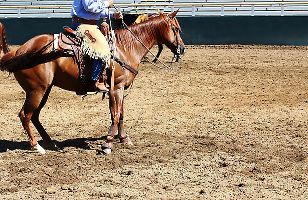 포토 JPG 해외이미지 주간 동물 남자 모래 포유류 생물 기술 취미 사람없음 운전 소 카우보이 선택 승차 담요 먼지 히스패닉 안장 솜브레로 로데오 땅바닥 서쪽 스페인어 해외202004 해외포토 자연요소 모자_잡화 컨셉 모션 바닥 사람 전통의상 방향 파일형식 이미지허브