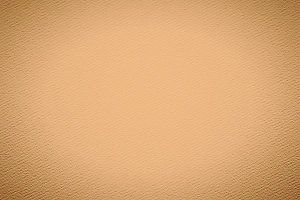 포토 JPG 해외이미지 종이 벽 백그라운드 패턴 벽지 표면 추상 미술 사람없음 그래픽 장식 갈색 노란색 공백 수확 골동품 흰색 시골 얼룩 거친 황금 떨어짐 자르기 크림 질감 파일 복고 스크래치 시트 판지 그런지 스크랩북 양피지 옛날 해외202004 해외포토 컬러 컨셉 무늬 농업 모션 문화예술 파일형식 이미지허브