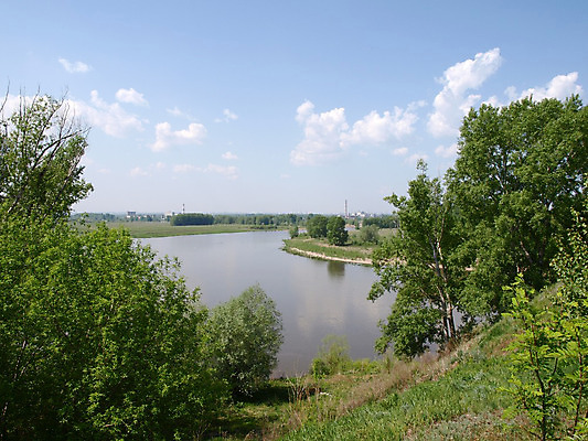 포토 JPG 해외이미지 나무 백그라운드 하늘 왕관 풍경 사람없음 야외 초록색 물 여름 파란색 강 개울 숲 땅 언덕 해외202004 해외포토 자연요소 식물 계절 컬러 파일형식 이미지허브