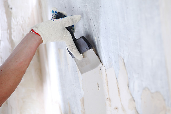 포토 JPG 해외이미지 직업 손 벽 백그라운드 표면 노동자 바닥 주택 실내 손잡이 사람 사람없음 내부 건물 장비 흰색 공구 작업 칼날 수리 모종삽 반죽 시멘트 주걱 건축업자 마무리 복잡 석고 업그레이드 조작 철강 해외202004 해외포토 건축물 건축 컬러 컨셉 주방용품 신체부위 도구 삽 파일형식 이미지허브