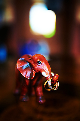 포토 JPG 해외이미지 전통 결혼 백그라운드 프로포즈 결혼식 남편 코끼리 사랑 사람없음 장식 빛 숫자 유행 검은색 놀람 흰색 반지 악단 아내 행운 황금 우아함 은색 작음 보석 심볼 사인 기회 열정 다이아몬드 약혼 돌봄 백금 백자 영원 정교 특별함 스타일 해외202004 해외포토 문자 감정 음악 컬러 컨셉 장신구 포유류 모션 표정 이벤트 도자기 크기 광석 약속 파일형식 이미지허브