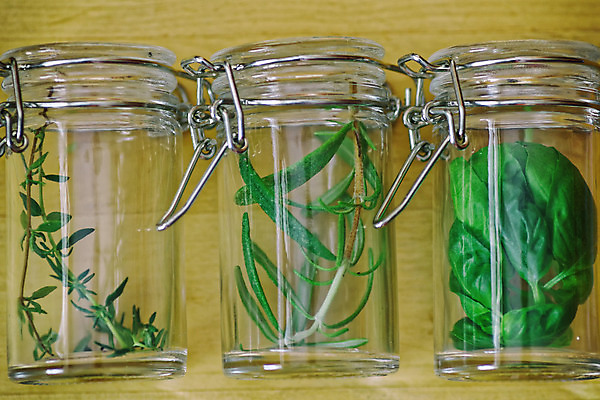 포토 JPG 해외이미지 식물 백그라운드 잎 재료 자연 유리 건강 요리 사람없음 목재 치료 초록색 약 주방 신선 양념 수집 허브 향신료 유기농 향 아로마테라피 바질 로즈메리 내추럴 백리향 해외202004 해외포토 나무 웰빙 컬러 의학 재질 생태계 테라피 향미료 파일형식 이미지허브