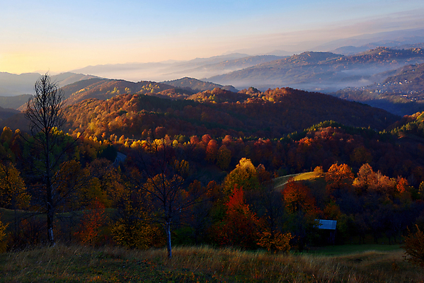 포토 JPG 해외이미지 나무 계절 길 여행 잎 자연 아침 산 풍경 사람없음 야외 빨간색 빛 컬러풀 노란색 마을 일출 환경 일몰 활발 안개 가을 저녁 숲 루마니아 10월 절정 해외202004 해외포토 주간 식물 유럽 컬러 컨셉 날씨 노을 날짜 야간 생태계 파일형식 이미지허브