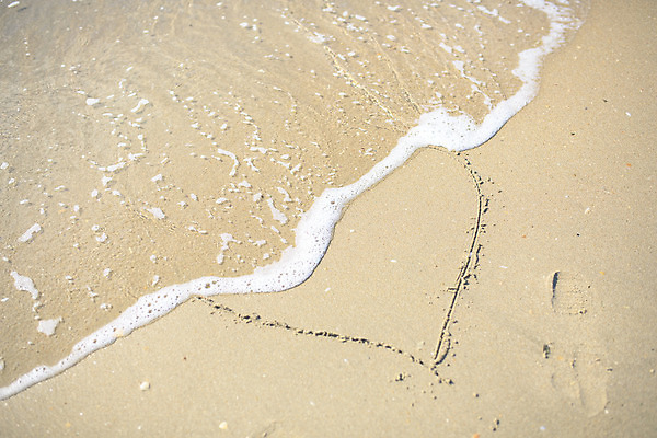 포토 JPG 해외이미지 모양 디자인 계절 여자 모래 파도 바다 여행 백그라운드 컨셉 자연 휴가 휴식 아이디어 따뜻함 발렌타인데이 사랑 풍경 사람없음 야외 물 여름 모래사장 태양 노란색 평화 맑음 거품 꿈 하트 편지 심볼 사인 질감 장면 내추럴 해외202004 해외포토 자연요소 감정 컬러 데이이벤트 날씨 사람 생태계 파일형식 이미지허브