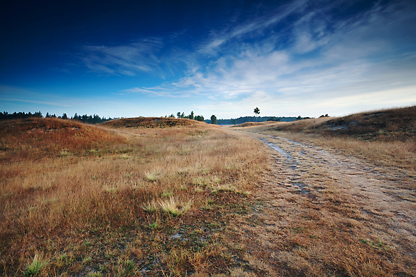 포토 JPG 해외이미지 모양 계절 도로 길 모래 자연 하늘 아침 산 건조 풍경 사람없음 야외 여름 파란색 흰색 모래언덕 방향 언덕 네덜란드 방법 해외202004 해외포토 주간 유럽 컬러 교통시설 생태계 파일형식 이미지허브