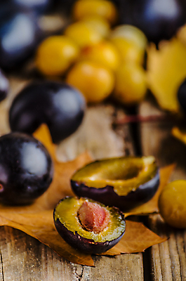포토 JPG 해외이미지 단풍 낙엽 단면 실내 사람없음 아웃포커스 슬라이스 서양자두 나무배경 해외202004 해외포토 백그라운드 잎 촬영기법 내부 파일형식 이미지허브
