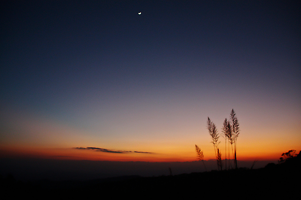 포토 JPG 해외이미지 나무 구름 1 계절 실루엣 별 백그라운드 겨울 태국 자연 하늘 추상 휴식 새로움 산 풍경 사람없음 여름 파란색 태양 평화 일출 맑음 침묵 황혼 일몰 새벽 달 시골 황금 야간 초승달 가득함 심볼 내추럴 옛날 수평선 해외202004 해외포토 자연요소 식물 아시아 컬러 컨셉 무늬 날씨 촬영기법 노을 소리 생태계 파일형식 이미지허브