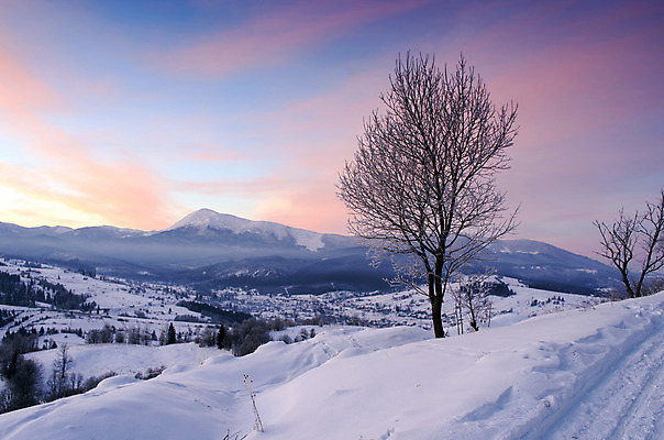 포토 JPG 해외이미지 나무 구름 계절 여행 백그라운드 크리스마스 겨울 자연 하늘 아침 날씨 휴가 산 주택 풍경 사람없음 야외 목재 빛 울타리 농장 마을 환경 봄 추위 가을 흰색 시골 숲 언덕 서리 알프스 전나무 내추럴 산악지대 샬레 옛날 우크라이나 폭설 눈내림 가문비나무 해외202004 해외포토 주간 자연요소 식물 기념일 유럽 컬러 농업 재료 눈_날씨 실험기구 건물 담장 자연재해 생태계 파일형식 이미지허브