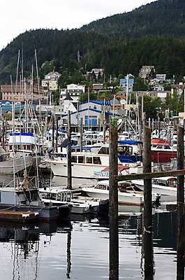 포토 JPG 해외이미지 바다 여행 자연 낚시 휴가 산 주택 항해 어류 사람 사람없음 내부 여름 강 평화 마을 항구 침묵 봄 추위 시골 만 보트 숲 크루즈 통로 상업 수로 연어 포트 타운 리빙 알래스카 뱃놀이 해외202004 해외포토 계절 컨셉 배_교통 교통시설 레저 건물 전통놀이 미국 수중동물 소리 도시 생태계 파일형식 이미지허브