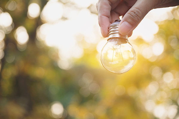 포토 JPG 해외이미지 여자 백그라운드 컨셉 크리스마스 비즈니스 전구 손가락 유리 성공 추상 아이디어 매달리기 관리 손바닥 사람 성인 사람없음 내부 장식 초록색 빛 에너지 엄지손가락 수확 골동품 축하 인사 잡기 사인 뇌 보케 팔 해외202004 해외포토 손 기념일 컬러 무늬 농업 모션 재질 신체부위 예절 파일형식 이미지허브
