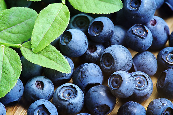 포토 JPG 해외이미지 열매 음식 백그라운드 농업 다이어트 과일 재료 자연 탁자 건강 사람없음 파란색 농작물 식사 시골 신선 맛 먹기 유기농 블루베리 북쪽 블랙베리 흙더미 건강식 내추럴 배급 변소 숙성 월귤 채식주의자 많음 비건 해외202004 해외포토 식물 웰빙 산업 컬러 가구 컨셉 모션 흙 방향 생태계 채식 파일형식 더미 이미지허브