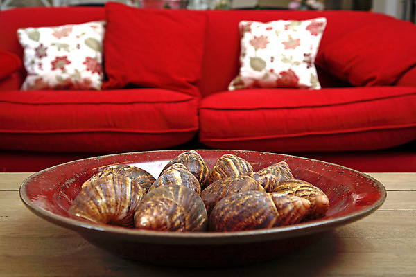 포토 JPG 해외이미지 라이프스타일 디자인 꽃 가구 쿠션 의자 건축양식 베개 아파트 주택 실내 앉기 사람없음 내부 장식 빨간색 소파 장미 방 흰색 우아함 리빙 해외202004 해외포토 식물 건축 컬러 생활용품 컨셉 침구 모션 건물 생활 파일형식 이미지허브