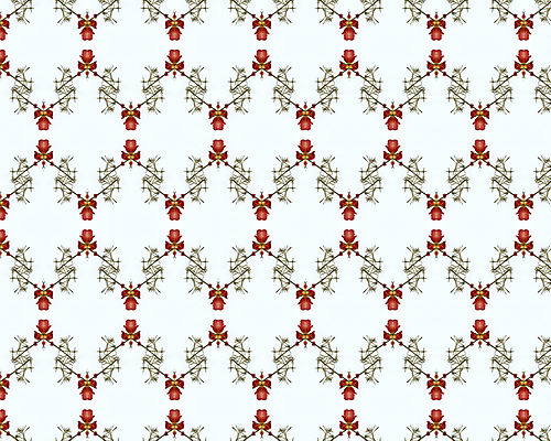 포토 JPG 해외이미지 모양 디자인 꽃 종이 벽 백그라운드 잎 꽃무늬 패턴 곡선 일러스트 자연 벽지 프레임 형상 미술 사람없음 그래픽 장식 컴퓨터 골동품 소용돌이 직물 화려 고급 우아함 실크 두루마리 가득함 그림 질감 복고 정사각형 구식 바로크 빅토리아 엘리먼트 옛날 회복 스타일 해외202004 해외포토 도형 식물 선 컨셉 무늬 문화예술 전자제품 회오리 생태계 파일형식 이미지허브