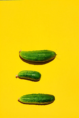 포토 JPG 해외이미지 식물 디자인 음식 백그라운드 컨셉 패턴 농업 다이어트 채소 재료 자연 오이 건강 사람 사람없음 초록색 여름 화장품 수확 신선 농부 먹기 오브젝트 유기농 원예 건강식 내추럴 노란배경 밭일 숙성 전용 채식주의자 카피스페이스 비건 해외202004 해외포토 직업 웰빙 계절 산업 컬러 무늬 모션 취미 뷰티 노란색 공백 생태계 채식 파일형식 이미지허브