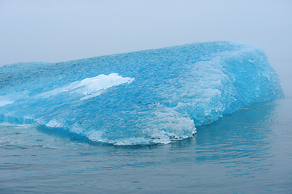 포토 JPG 해외이미지 바다 겨울 자연 사람없음 파란색 얼음 추위 위험 큼 북극 빙하 태평양 빙산 알래스카 깊이 단절 해외202004 해외포토 자연요소 계절 컬러 컨셉 미국 크기 극지방 생태계 파일형식 이미지허브