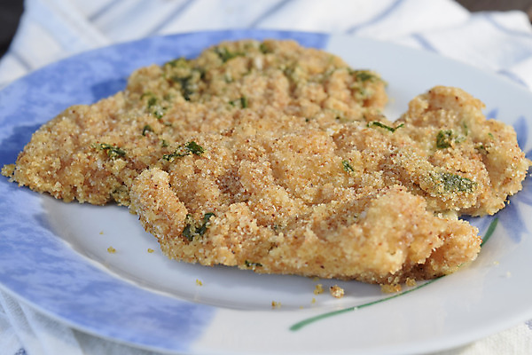 포토 JPG 해외이미지 음식 다이어트 돼지고기 어류 사람없음 튀김 신선 맛 지중해 레시피 빵가루 해외202004 해외포토 바다 컨셉 건강 육류 수중동물 파일형식 이미지허브