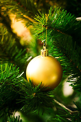 포토 JPG 해외이미지 나무 전통 디자인 계절 행복 백그라운드 크리스마스 겨울 패턴 공 유리 휴가 새로움 주택 기념 따뜻함 선물 사람없음 내부 장식 빨간색 초록색 빛 노란색 축제 화환 방 흰색 축하 소나무 황금 야간 12월 연도 벽난로 블러 해외202004 해외포토 자연요소 식물 기념일 꽃 감정 컬러 컨셉 무늬 재질 건물 날짜 파일형식 이미지허브